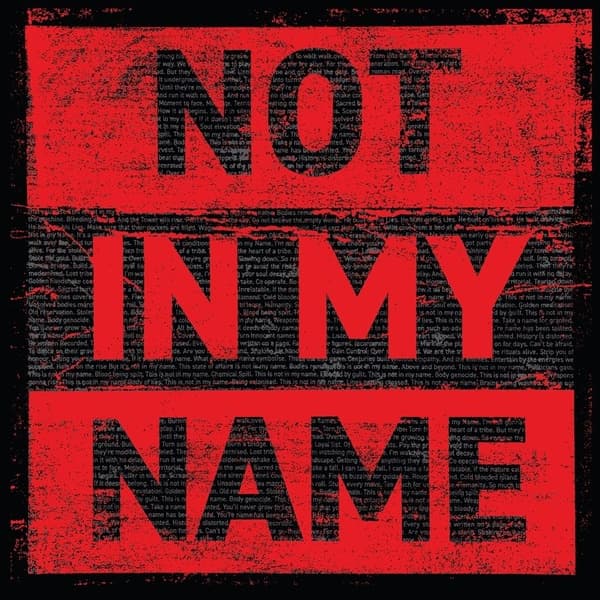 Not In My Name - Vinyl - cover