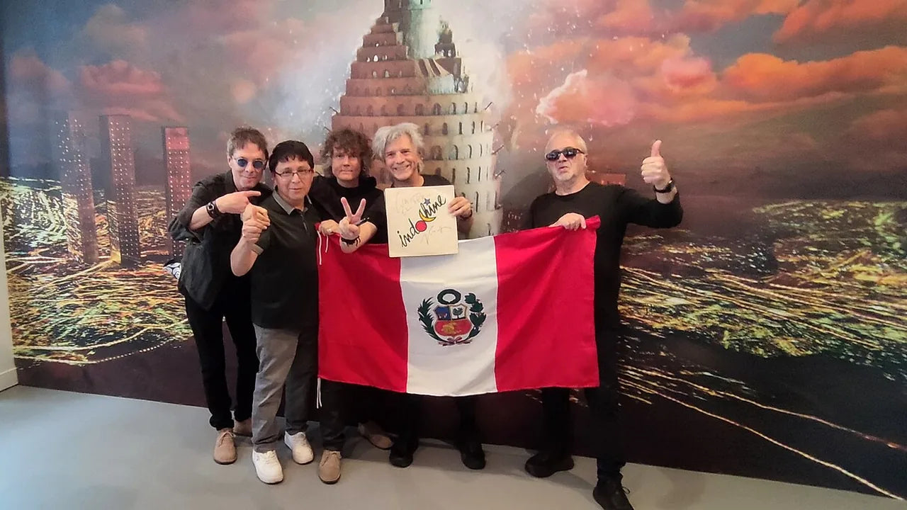 meilleurs vinyles indochine