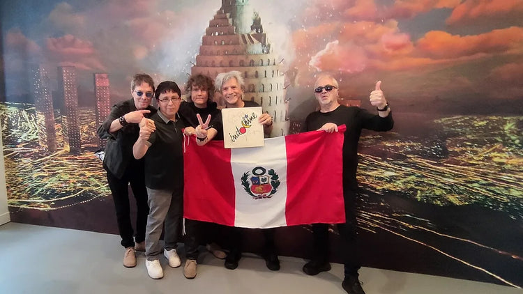 meilleurs vinyles indochine