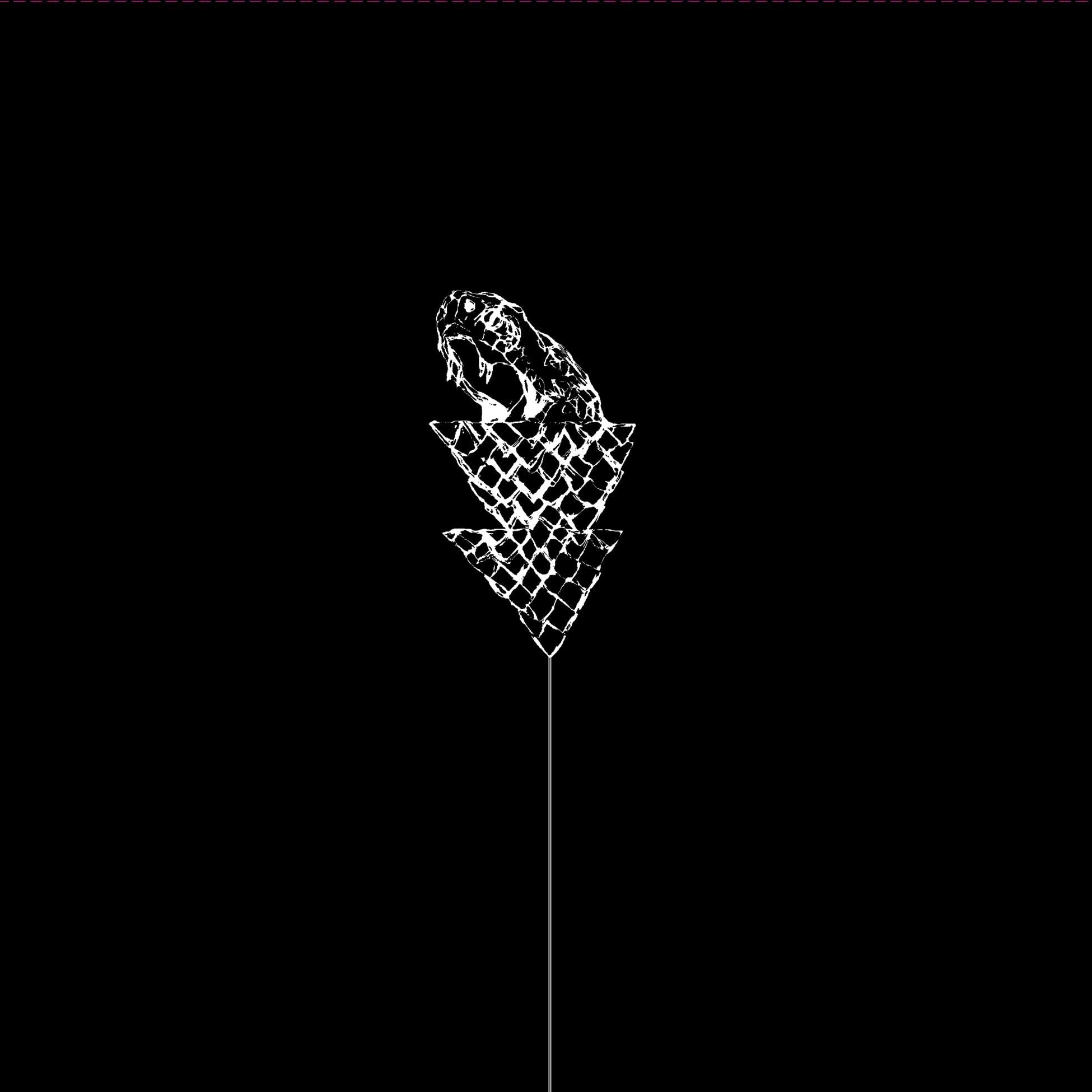 Flail - Front Cover