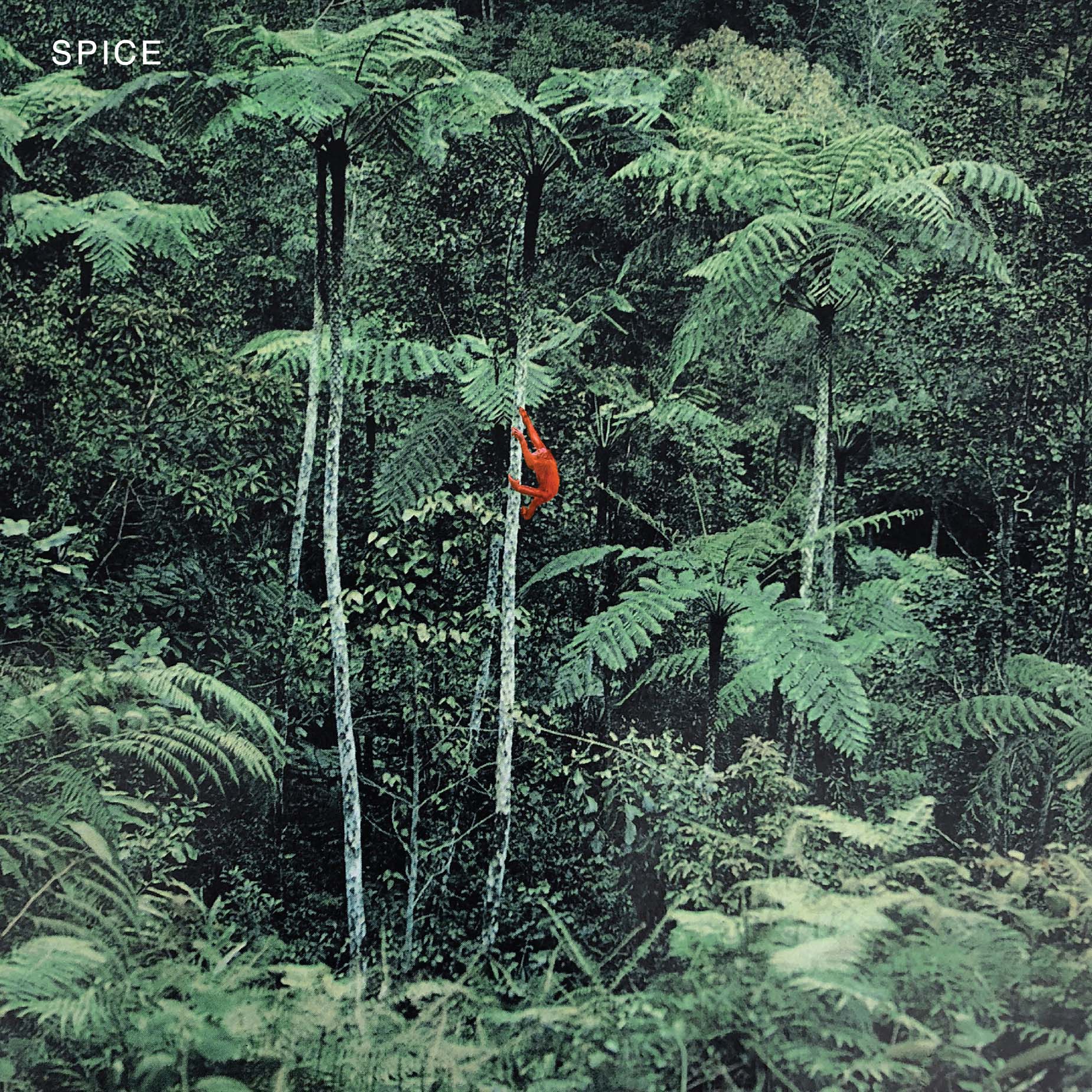 Spice - Vinyle Translucide - Front Cover