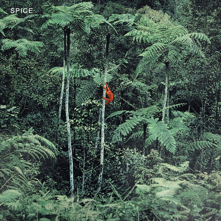 Spice - Vinyle Translucide - Front Cover