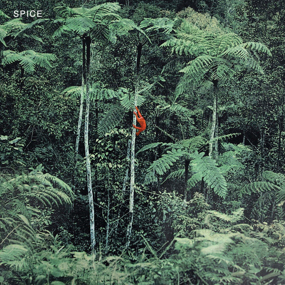 Spice - Vinyle Translucide - Front Cover