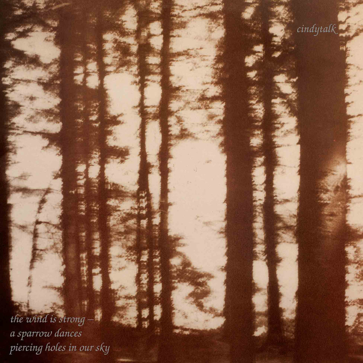 The Wind Is Strong - Front Cover