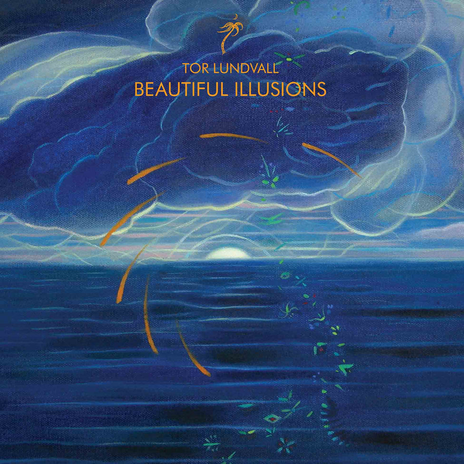 Beautiful Illusions - Front Cover