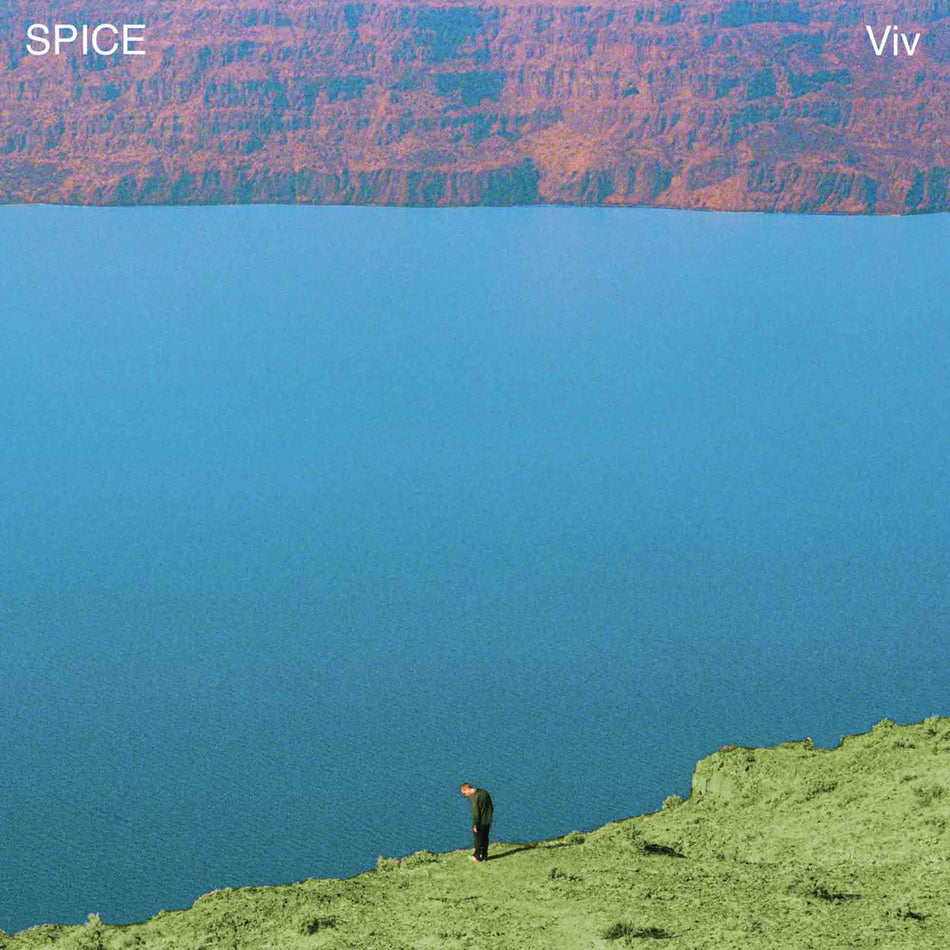Viv - Front Cover