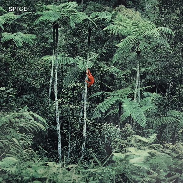 Spice - Front Cover