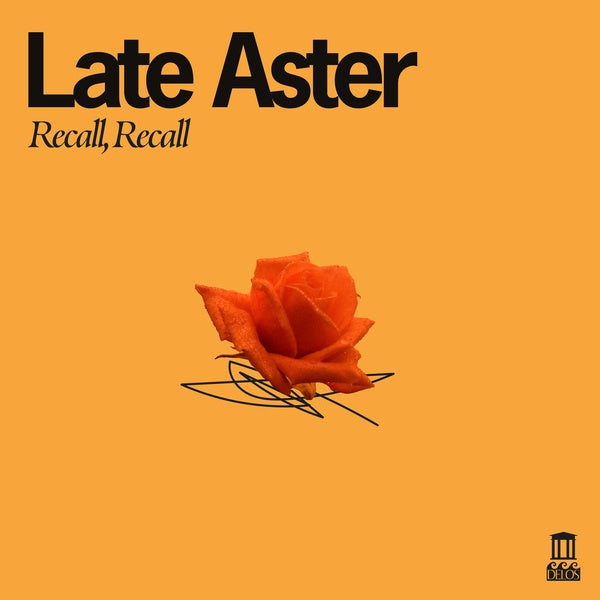 Recall, Recall - Front Cover