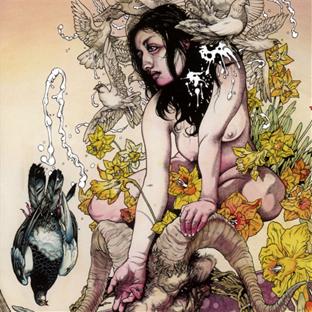 Meir - Front Cover
