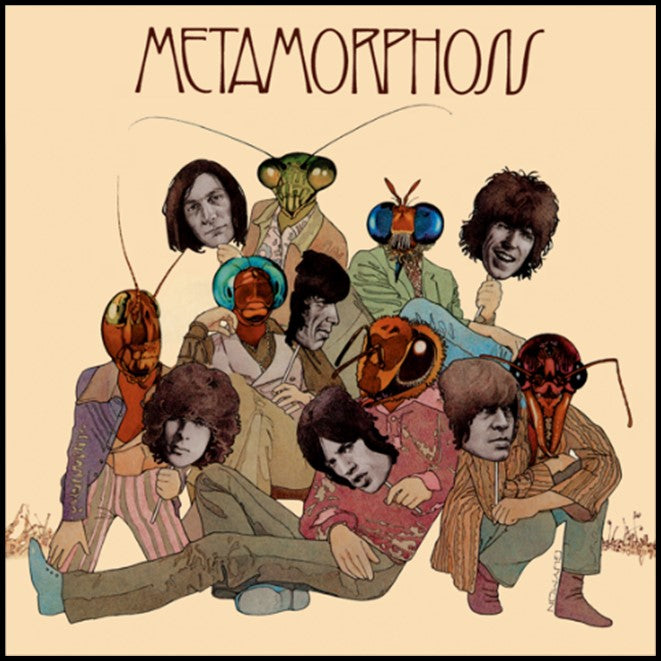 Metamorphosis - Front Cover