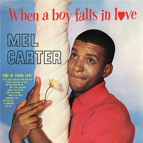 When A Boy Falls In Love - Front Cover