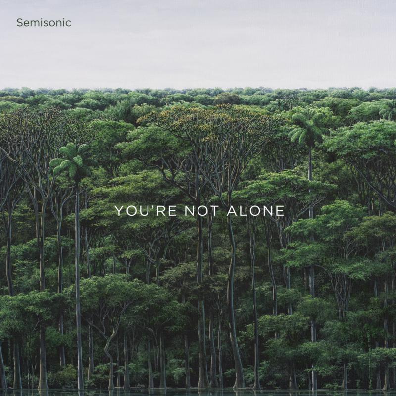 YOU RE NOT ALONE - Front Cover