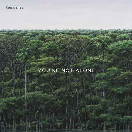 YOU RE NOT ALONE - Front Cover
