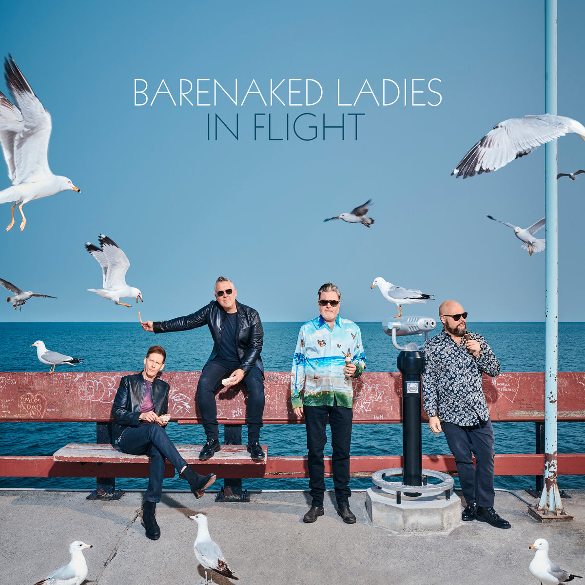 IN FLIGHT - Front Cover