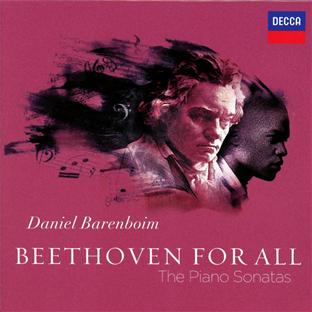 Beethoven for all : the piano sonatas - Front Cover