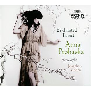 Enchanted forest - Front Cover