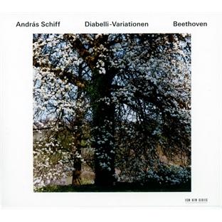 Diabelli-variationen - Front Cover