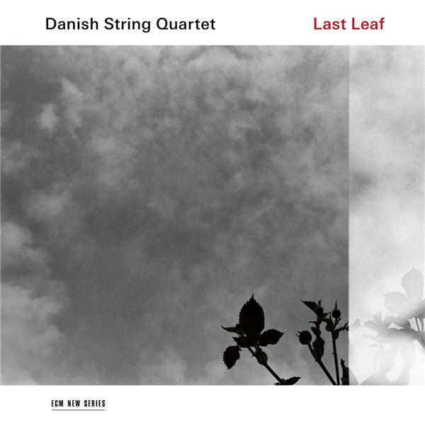 Last Leaf - Front Cover