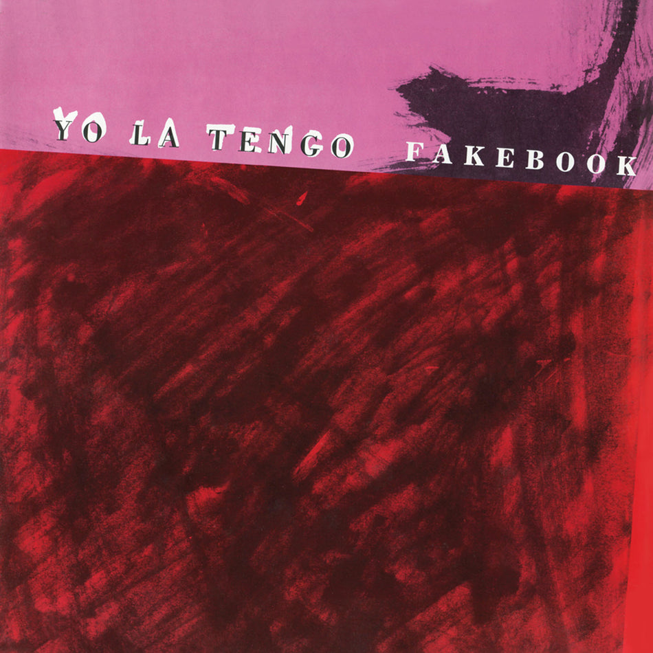 Fakebook - Front Cover
