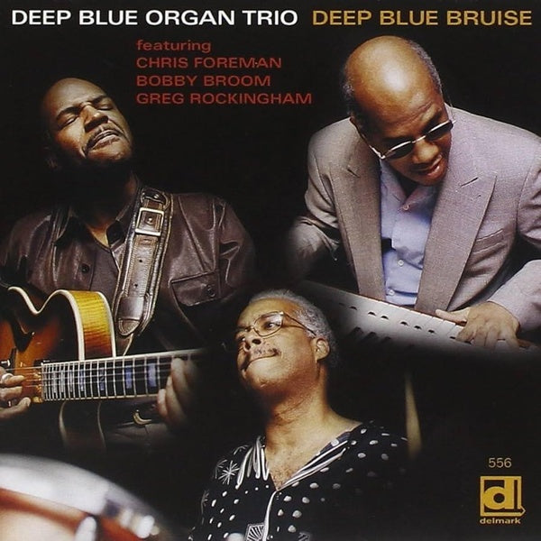 Deep Blue Bruise - Front Cover