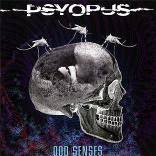 Odd senses - Front Cover