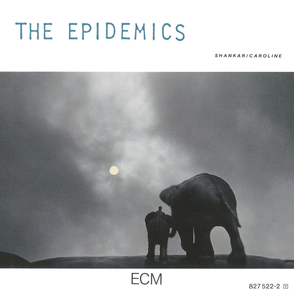 The Epidemics - Front Cover