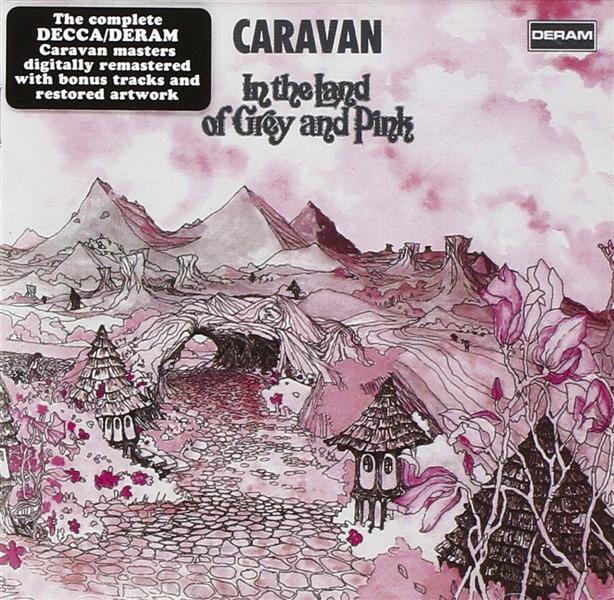 In the land of grey and pink - Inclus 5 titres bonus - Front Cover