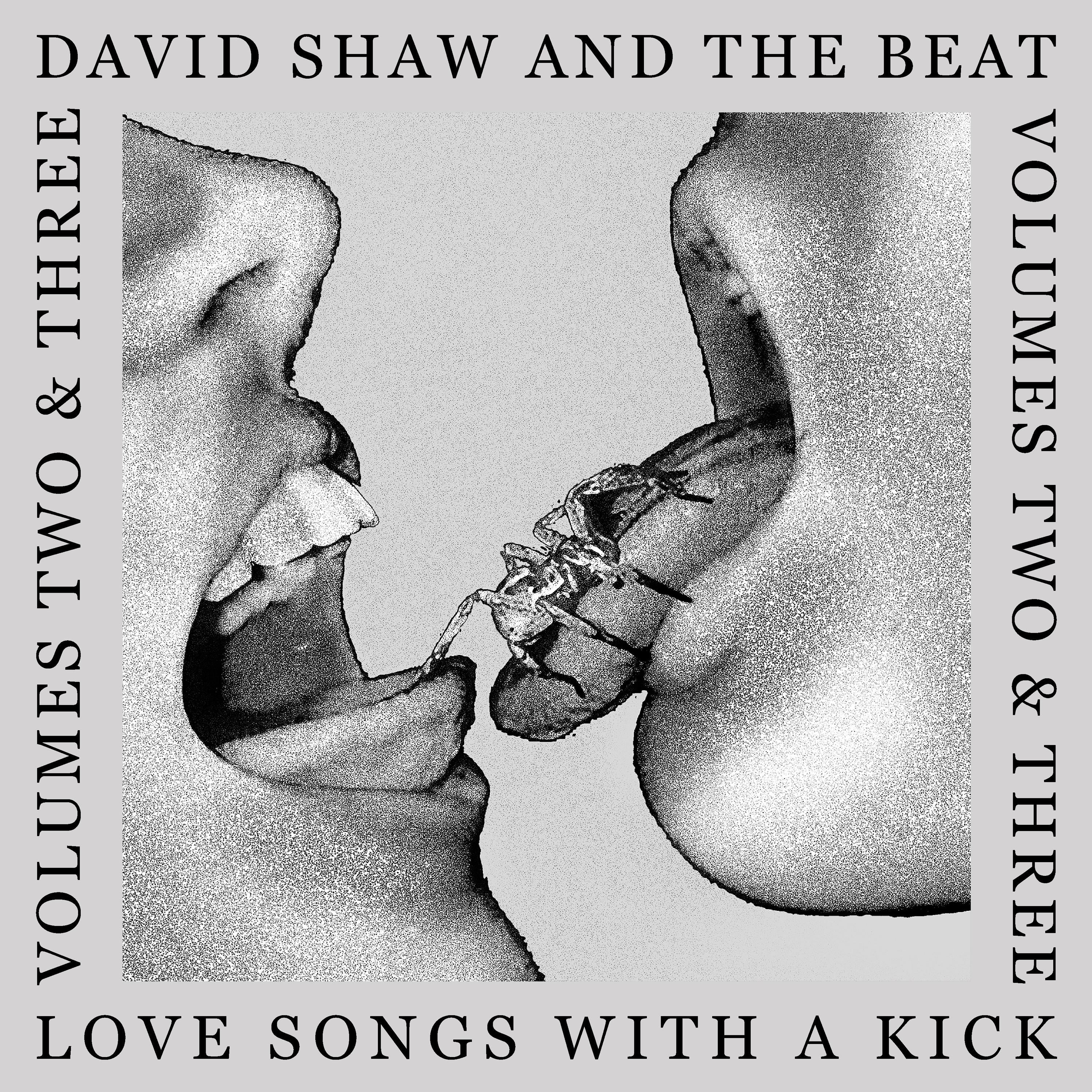 Love Songs With a Kick Vol. Two & Three - Front Cover