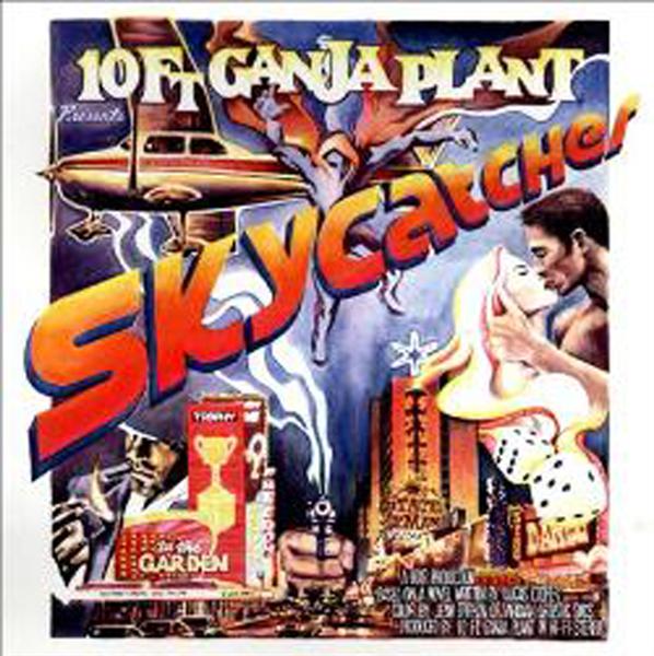 Skycatcher - Front Cover