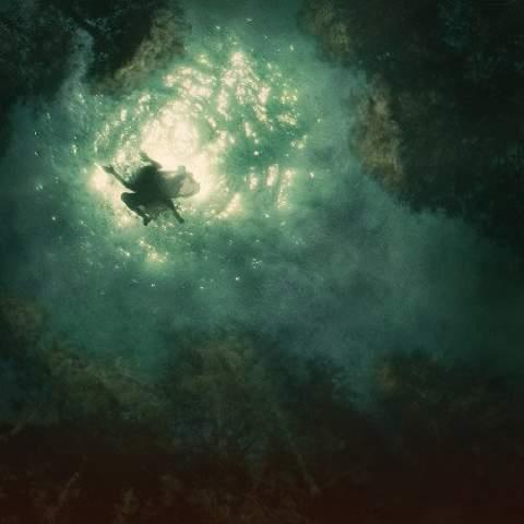 Companion - Front Cover