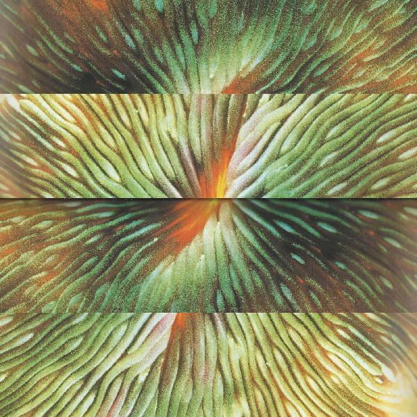 MIRRORING - Front Cover