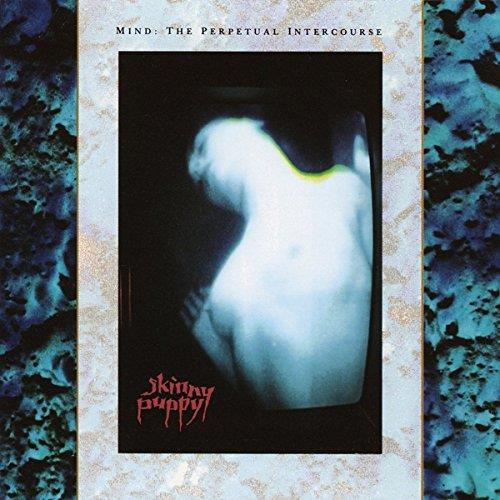 Mind - The Perpetual Intercourse - Front Cover