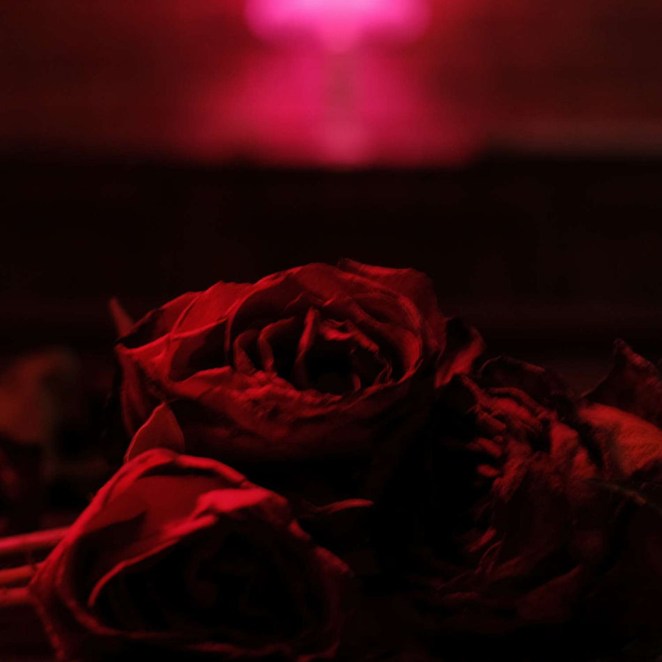 ROSES/VINYLE ROUGE ET NOIR - Front Cover