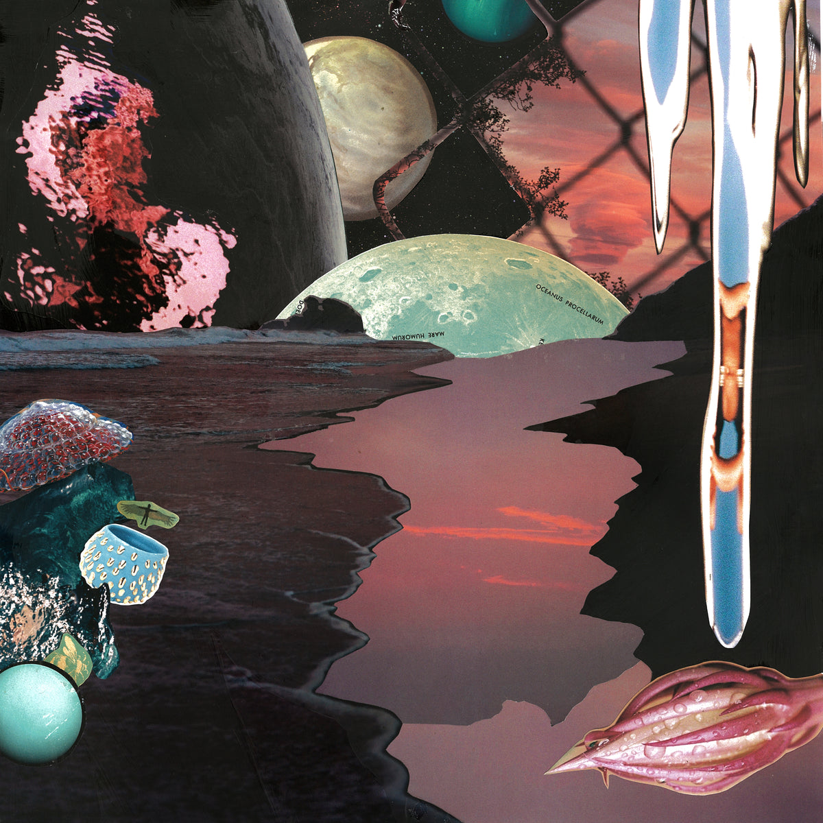 THERE IS NO NEIL FRANCES - Front Cover