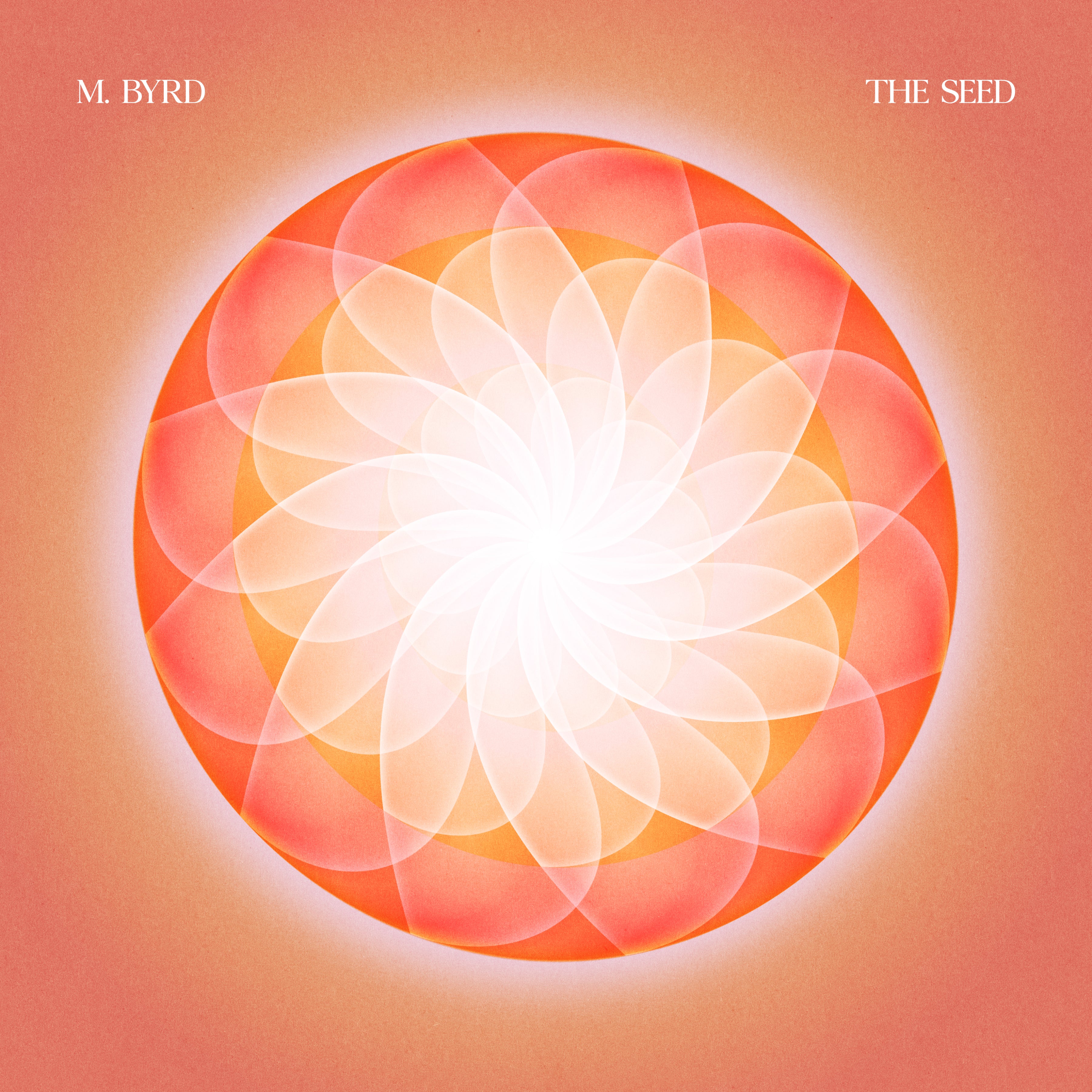 SEED/VINYLE COULEUR - Front Cover