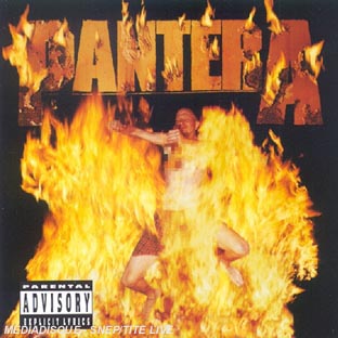 Reinventing the steel - Front Cover