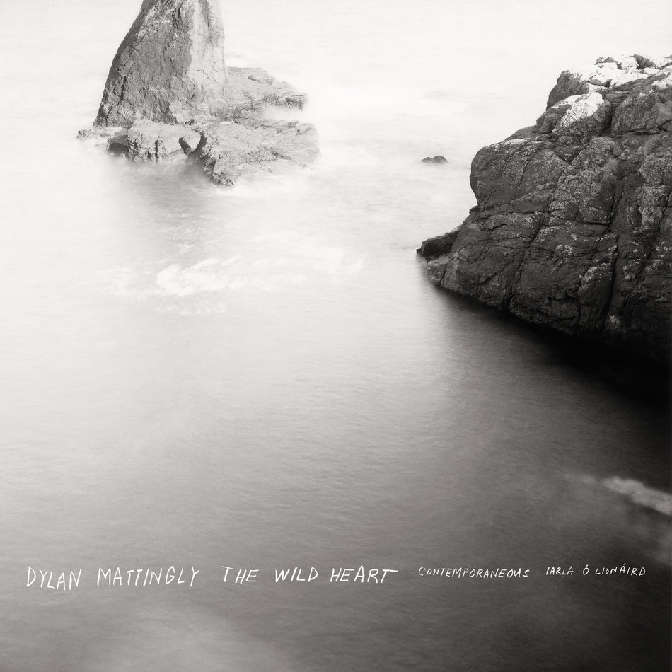 DYLAN MATTINGLY: THE WILD HEART - Front Cover