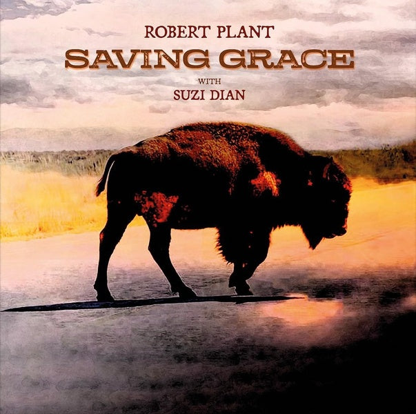 Saving Grace - Front Cover
