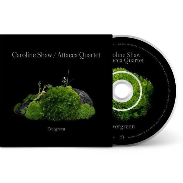 Caroline Shaw : Evergreen - Front Cover