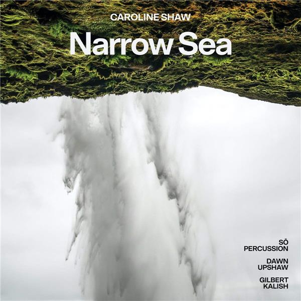 Narrow sea - Front Cover