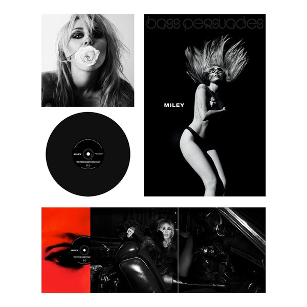 Bass Persuades - édition 140g - Vinyle - Front Cover