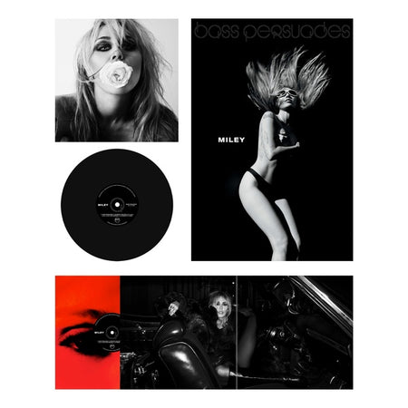 Bass Persuades - édition 140g - Vinyle - Front Cover