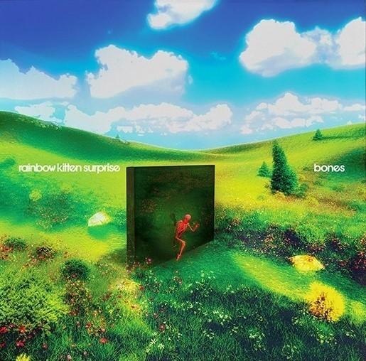 Bones - Front Cover
