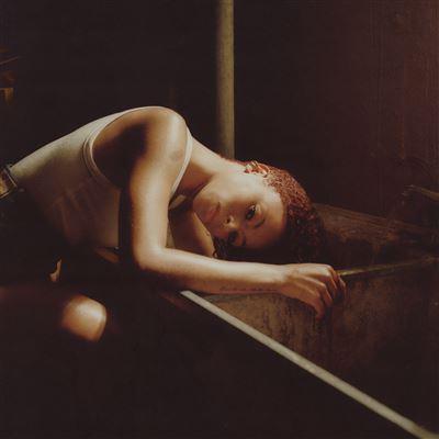 Bird's Eye - Front Cover
