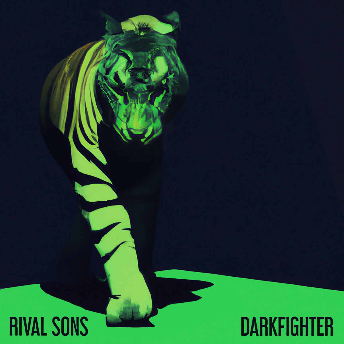 DARKFIGHTER - Front Cover