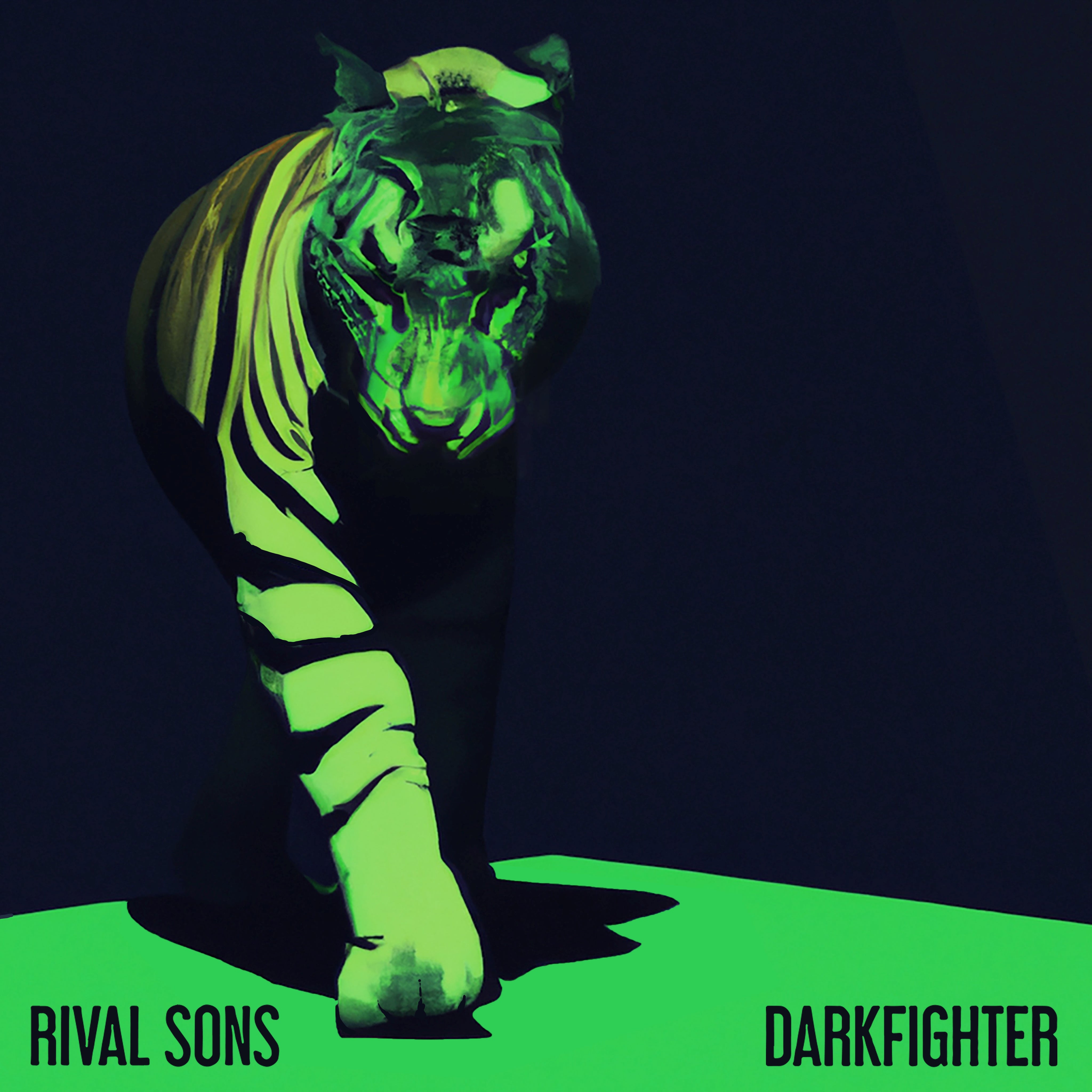 DARKFIGHTER - Front Cover