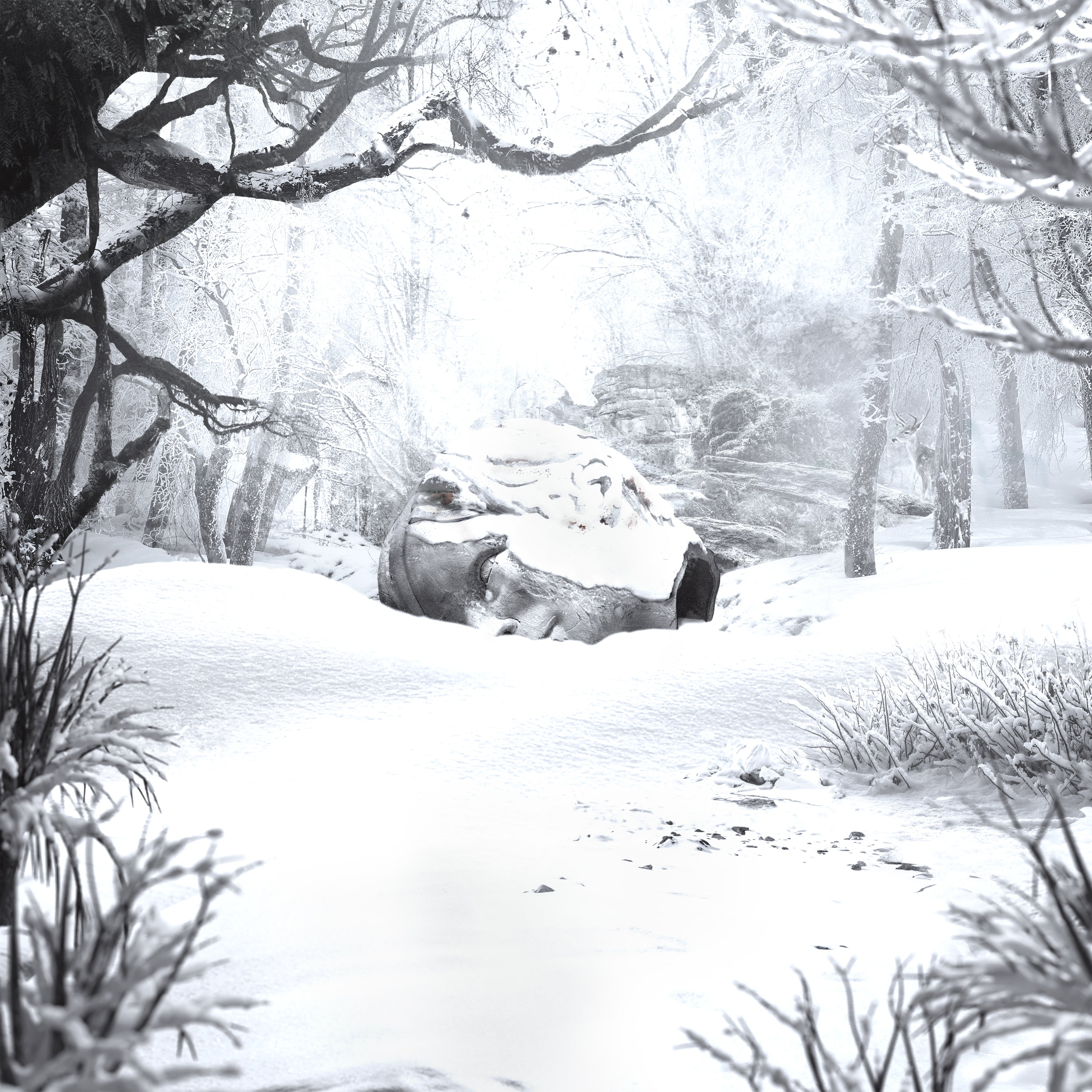 SZNZ: WINTER - Front Cover