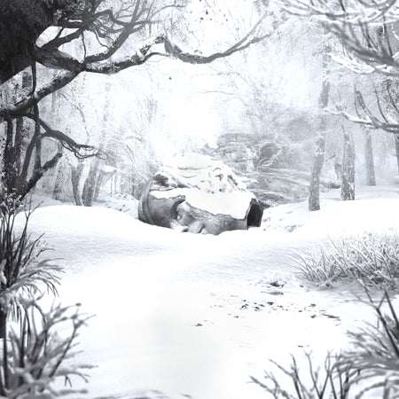 SZNZ: WINTER - Front Cover