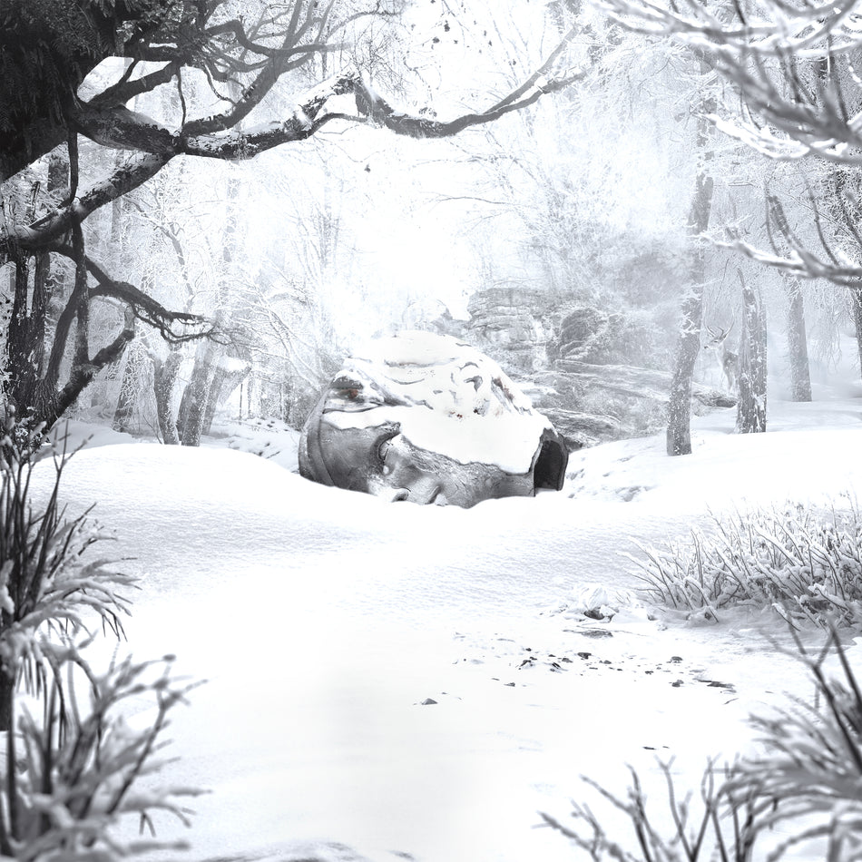 SZNZ: WINTER - Front Cover