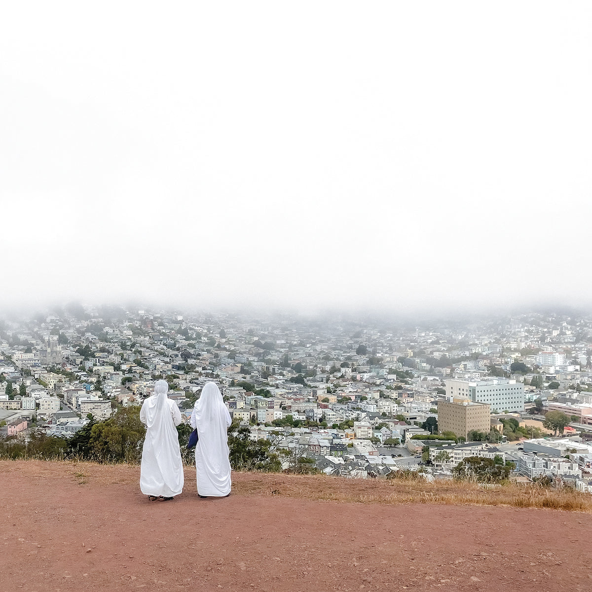 ASPHALT MEADOWS - Front Cover